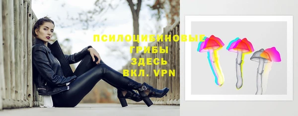 ГАЛЛЮЦИНОГЕННЫЕ ГРИБЫ Абдулино