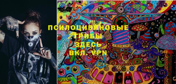 МДПВ Абинск