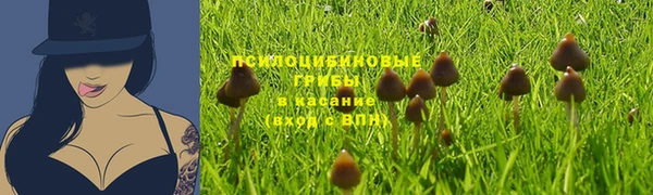 ГАЛЛЮЦИНОГЕННЫЕ ГРИБЫ Абдулино