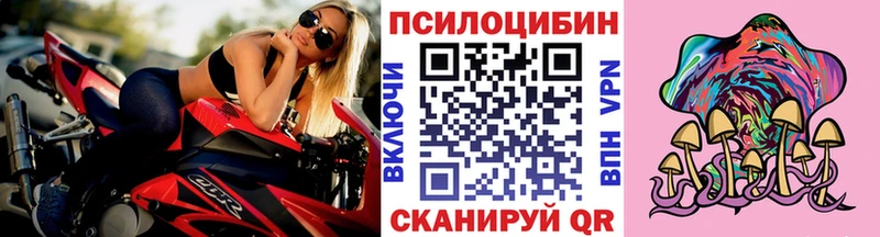 KRAKEN   Шарья  Псилоцибиновые грибы мухоморы 